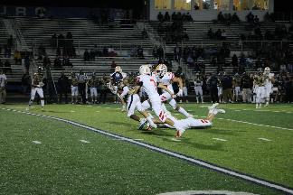 October 11 2019 IMG_31511178